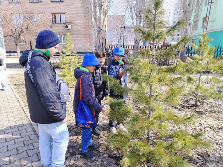 юннаты.
